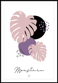 Plakat - Monstera i pink og lilla