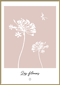 Plakat - Grafisk Allium